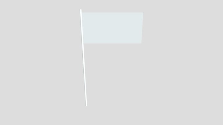 Flag 3D Model