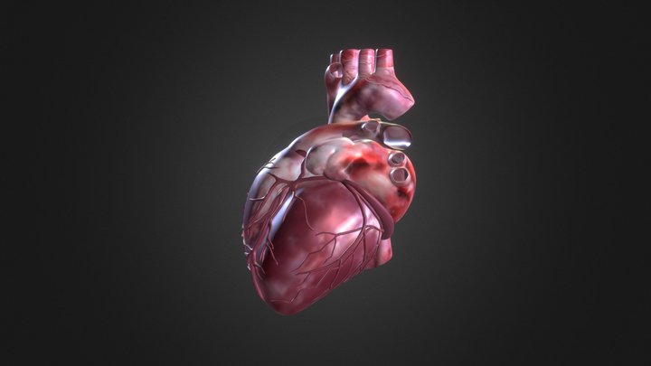 Heart - Cuore 3D Model