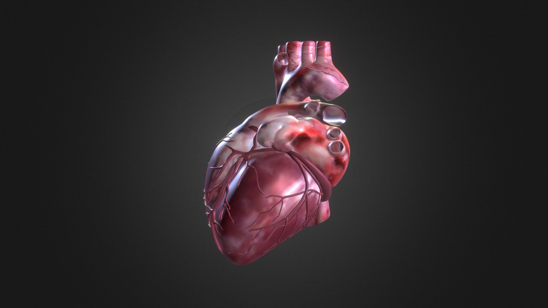 Heart - Cuore - Buy Royalty Free 3D model by antoniorafanelli [0f8e468 ...