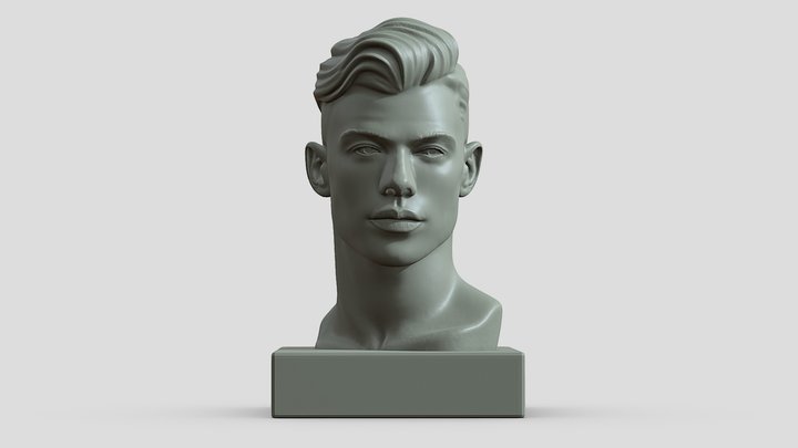 Male Head 3D Model