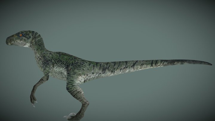 Jurassic World 2015 Delta the Velociraptor – Free 3D Model STL