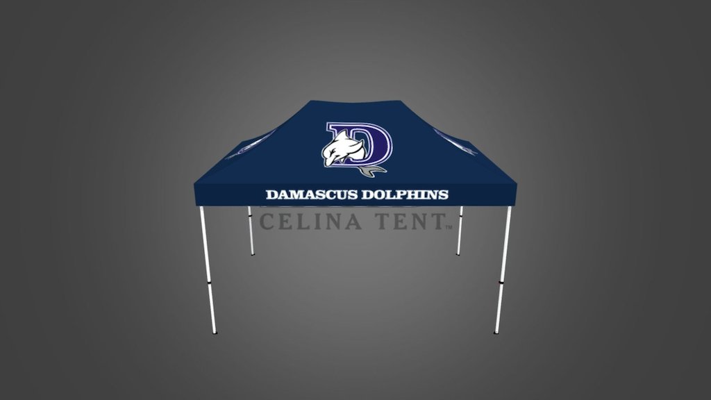 Damascus Dolphins Swim Team-113637-10x15 - 3D Model By Celinatent ...