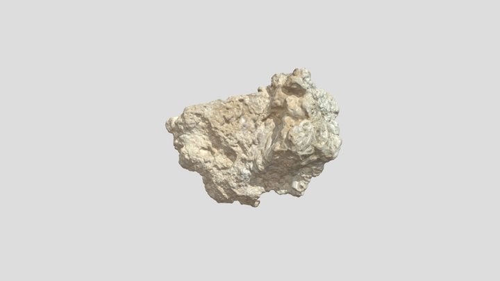 Sample 15 3D Model