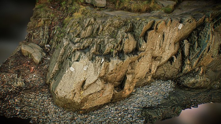 Shore rock 3D Model