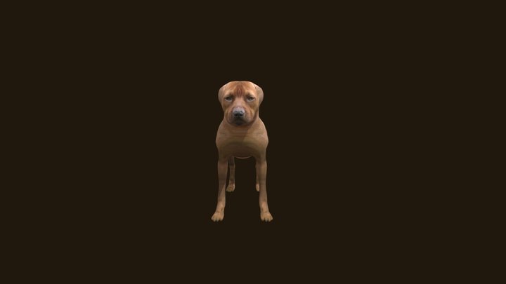 Pitbull Terrier-3d-model 3D Model