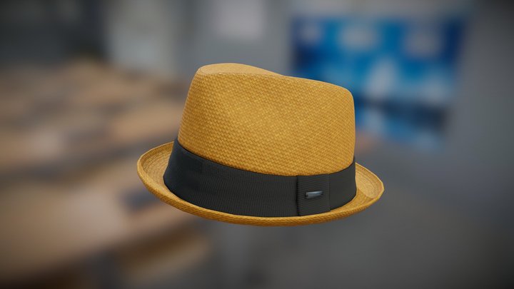 Caballero Paper Straw Hat (Brown) 3D Model