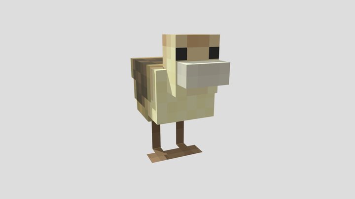Turtle duck 3D Model