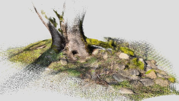 J. Tree1 - Lidar Scan3 3D Model