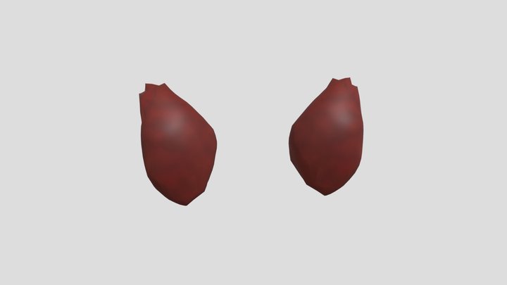 Aphmau Werewolf Ears 2 0 (1) 3D Model