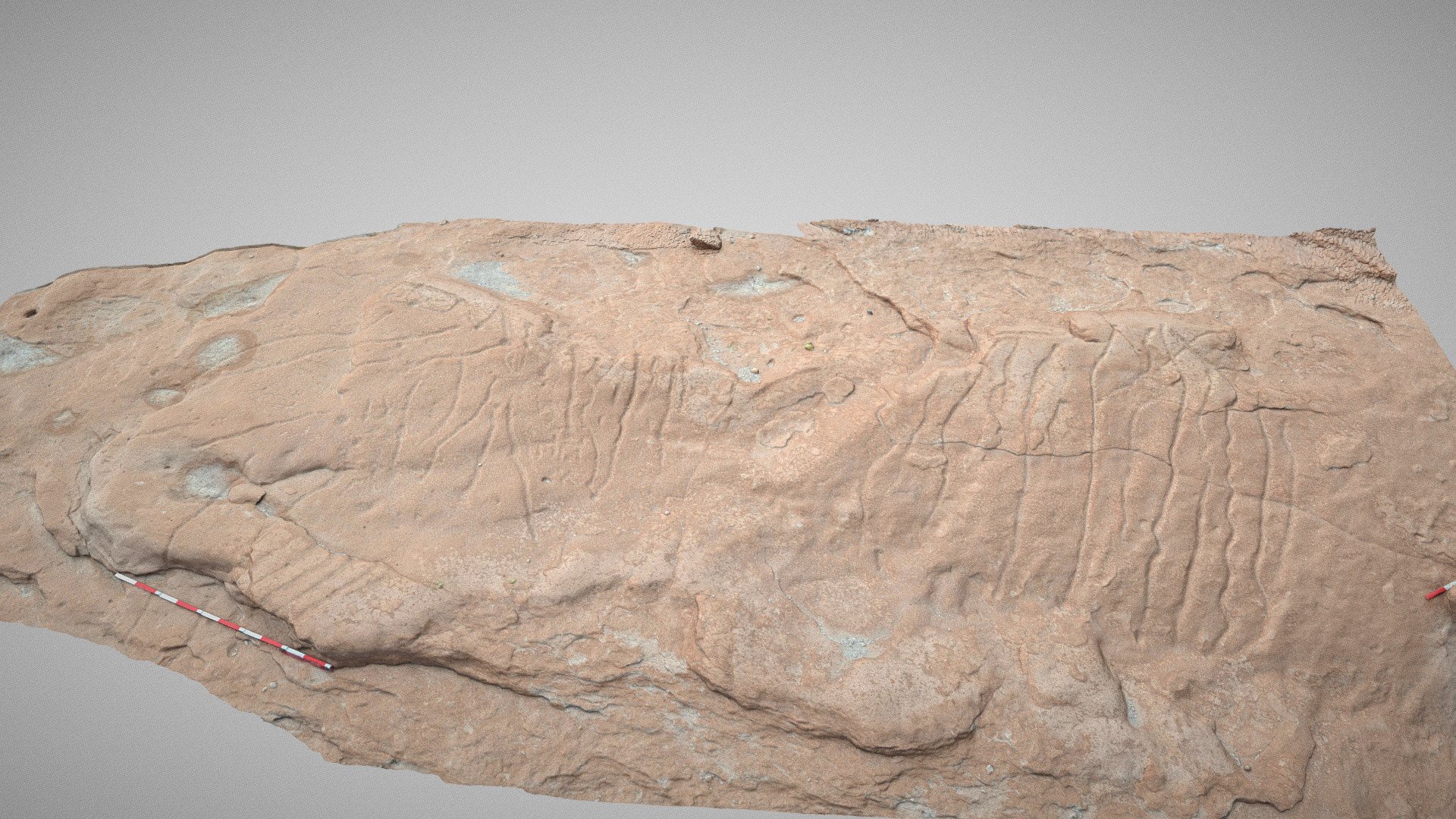 Maqueta en la roca (Altiplano Chileno)