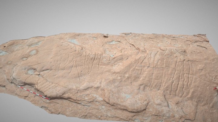 Maqueta en la roca (Altiplano Chileno) 3D Model