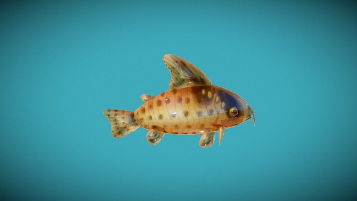 Corydoras Catfish 3D Model