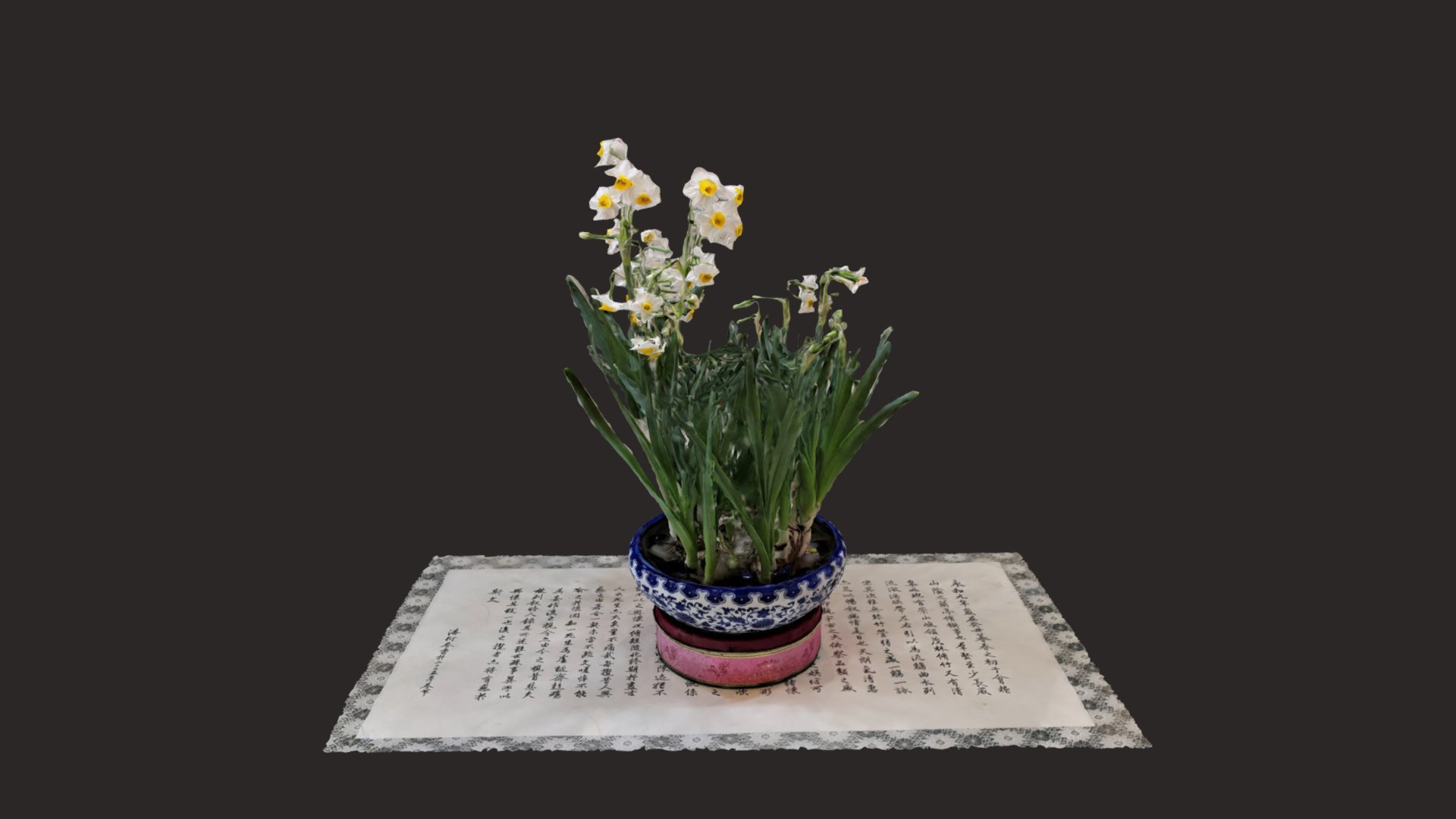 narcissus_2