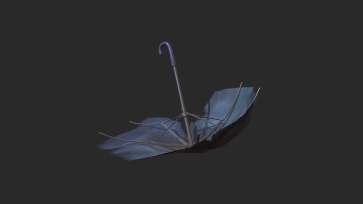 Umbrella 3D Model
