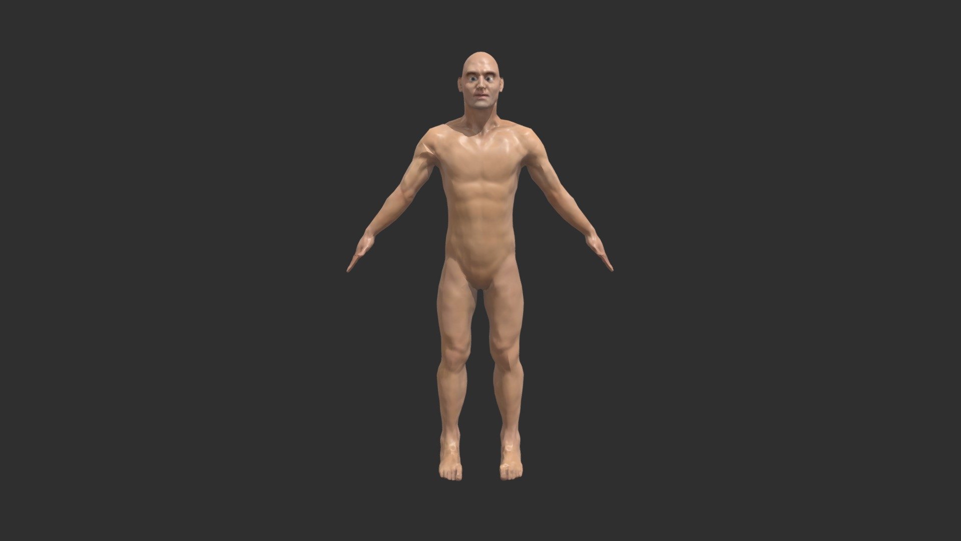 Anatomical Study