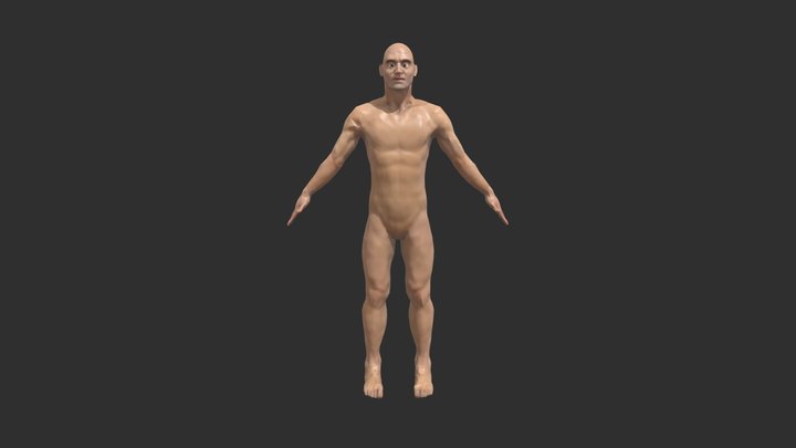 Anatomical Study 3D Model