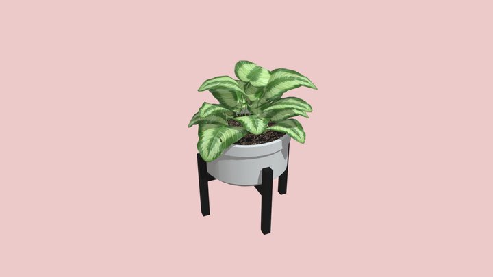 Potted_Plant_Wk_8 3D Model