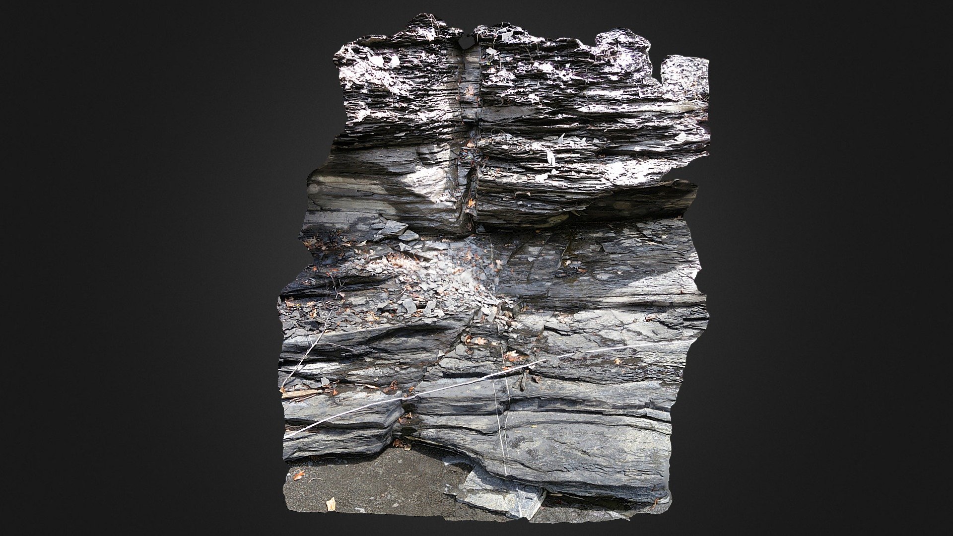 geology-joints-in-flat-creek-shale-download-free-3d-model-by-ryan