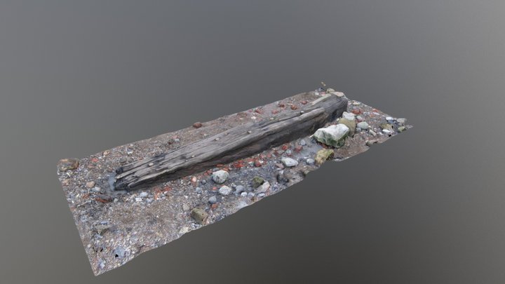 Rudder Timber Rotherhithe Foreshore 3D Model