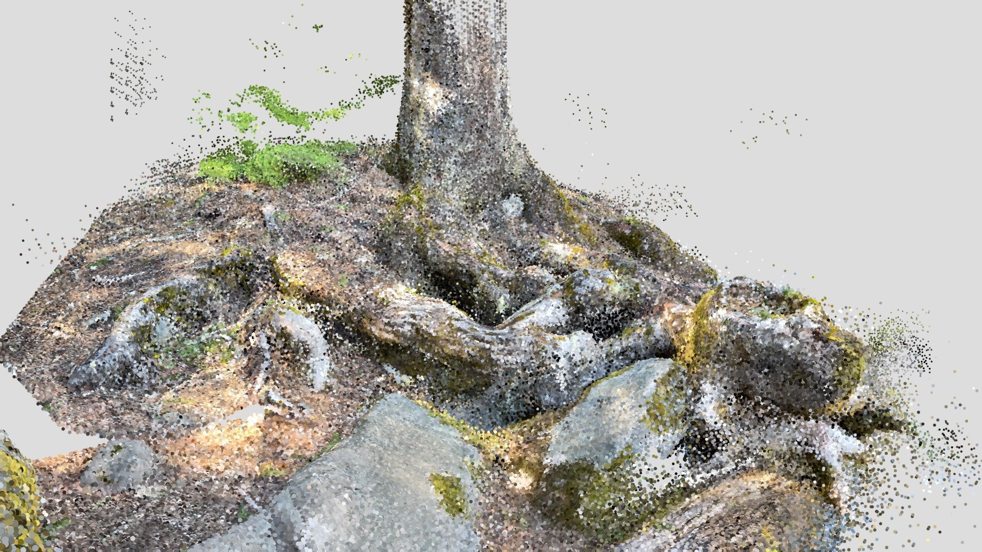 Marion Forks2-Lidar scan