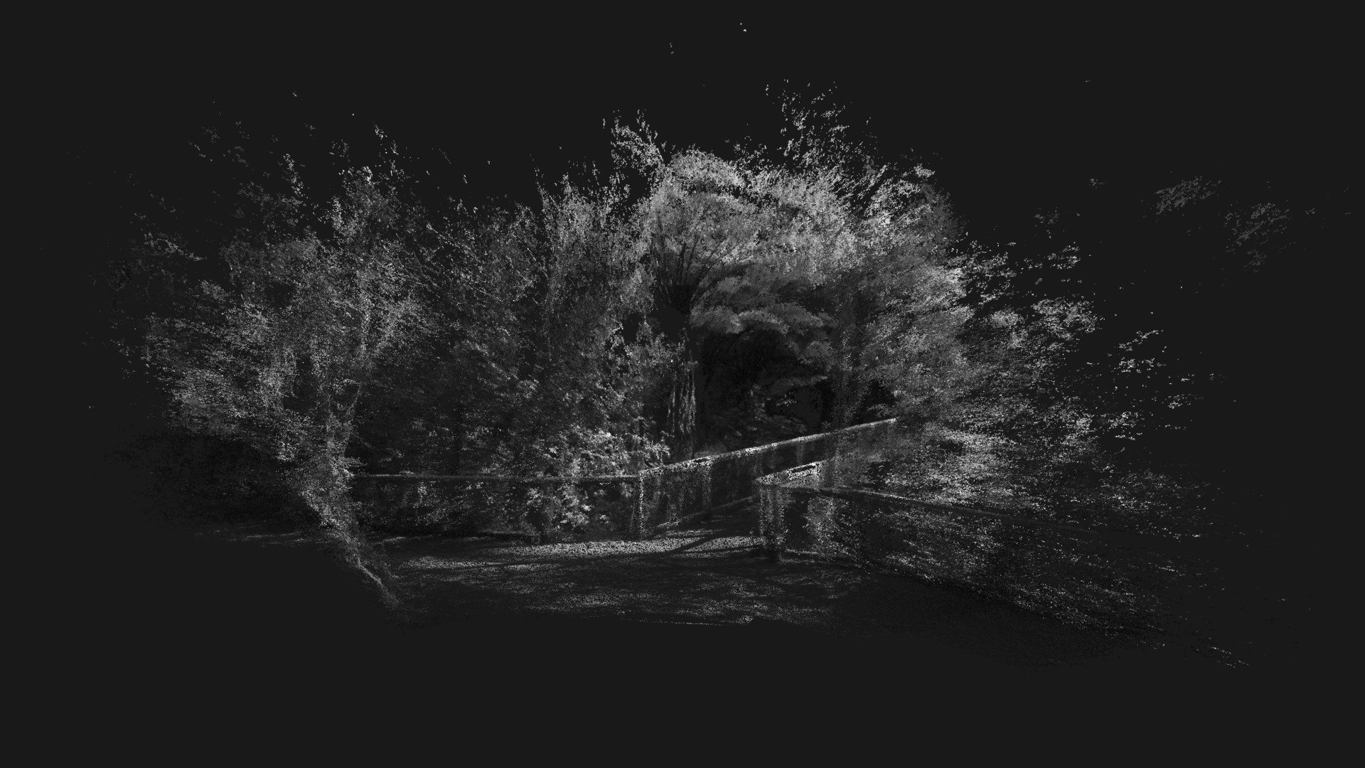 Central Park Greyscale Bridge