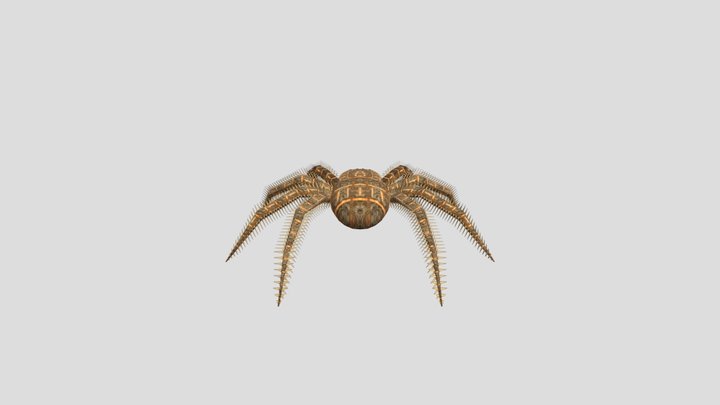 Spider 3D Model