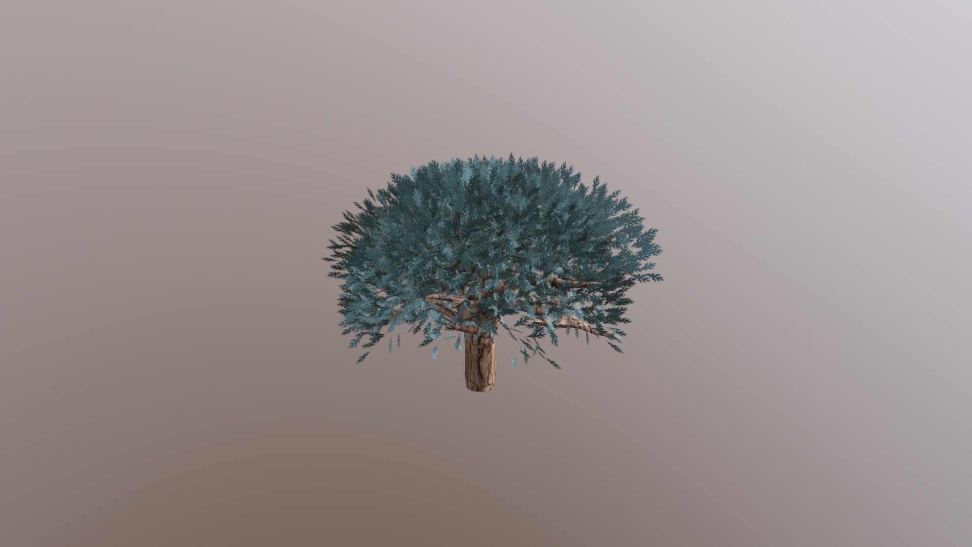 Tree Winter