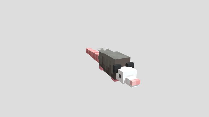 Opossum 3D Model