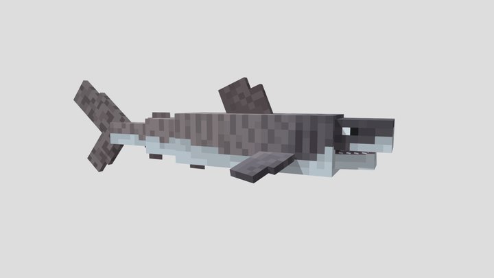 Tiger Shark 3D Model