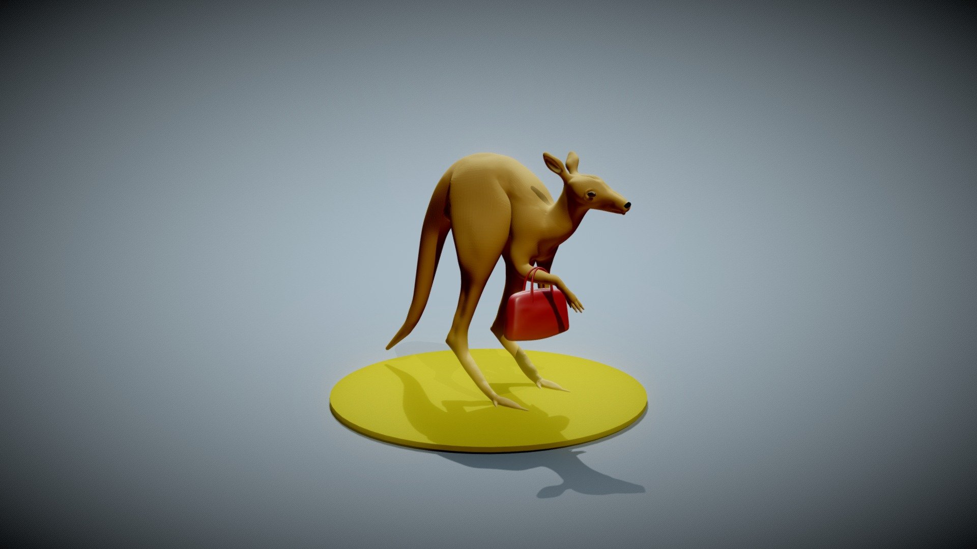 Male kangaroo shows off his purse