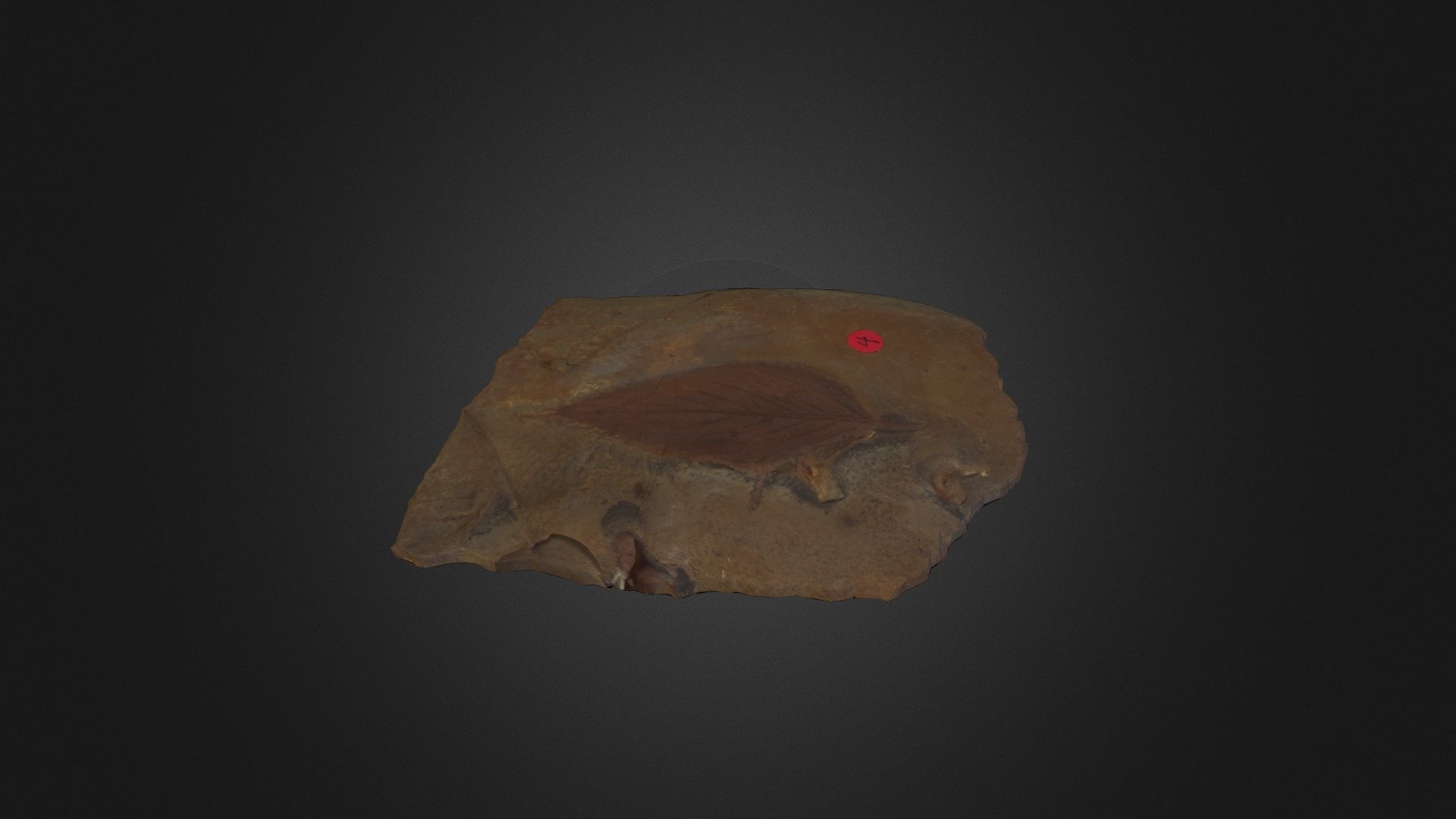 3703 - 3D model by yusufyurtbasi [0fc64c3] - Sketchfab