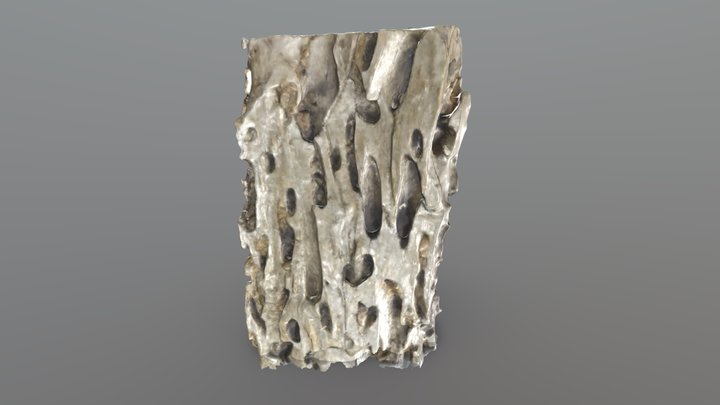 NATURALEZA MUERTA / DEATH NATURE 3D Model