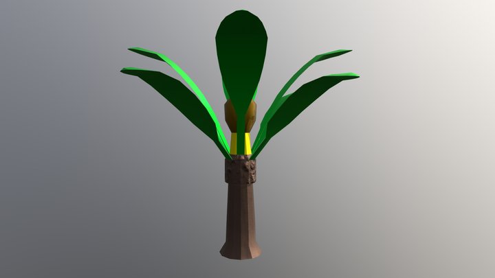 Paintbrush Palm Tree Textures 3D Model