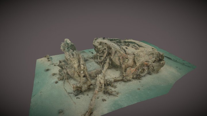 Underwater Car 3d Photogrammetry Model 3D Model