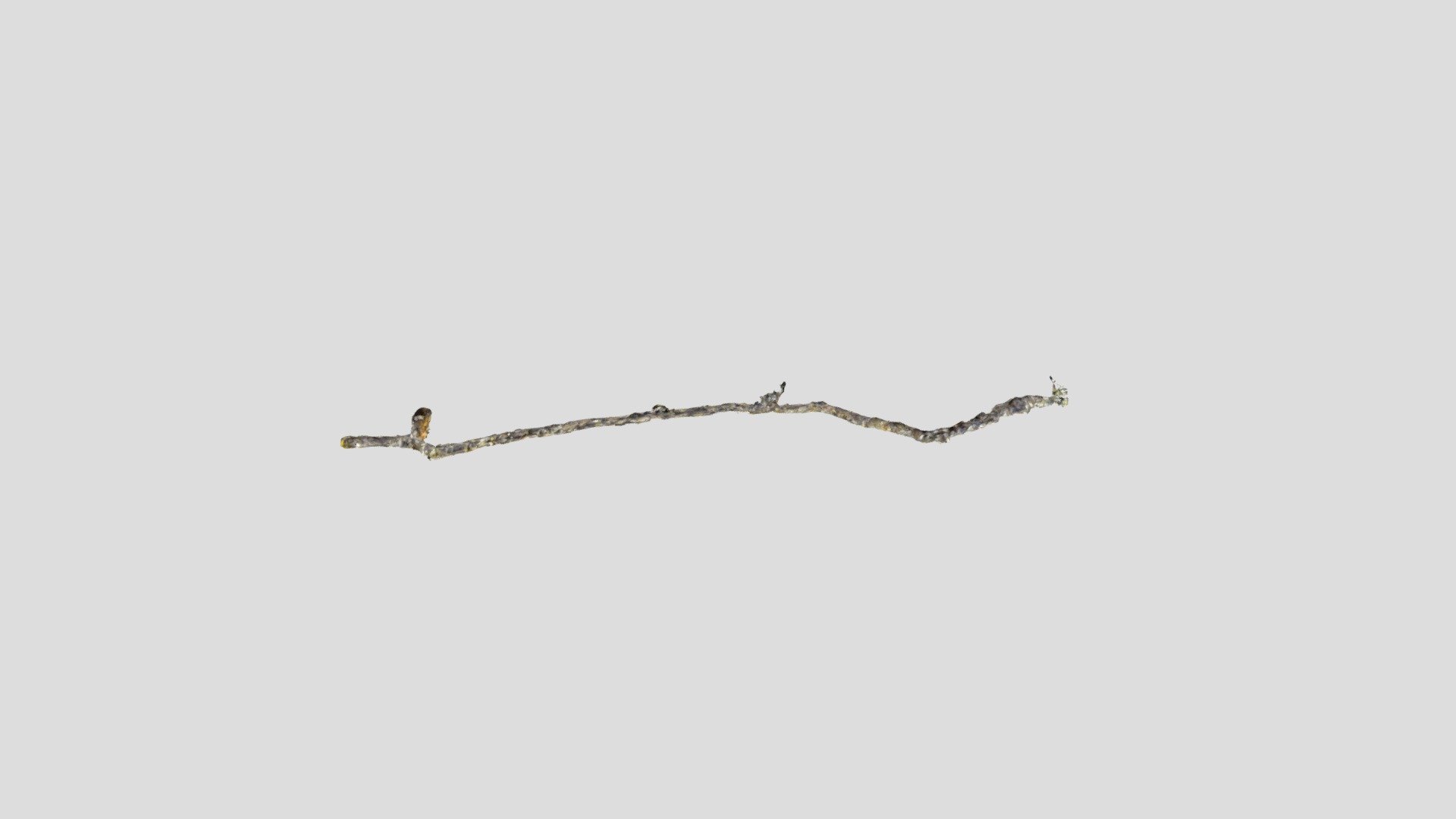 Mine 007