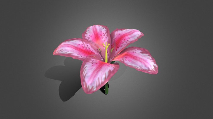 flower 3D Model