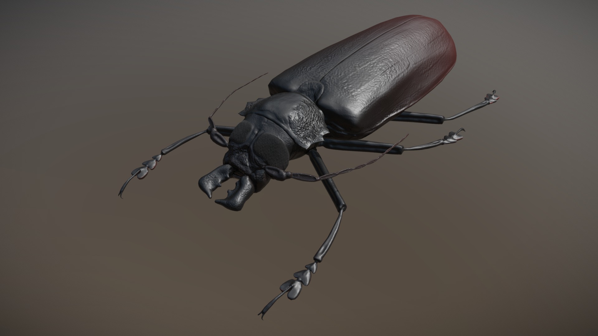 3D model Titan Beetle - This is a 3D model of the Titan Beetle. The 3D model is about a black and white insect.