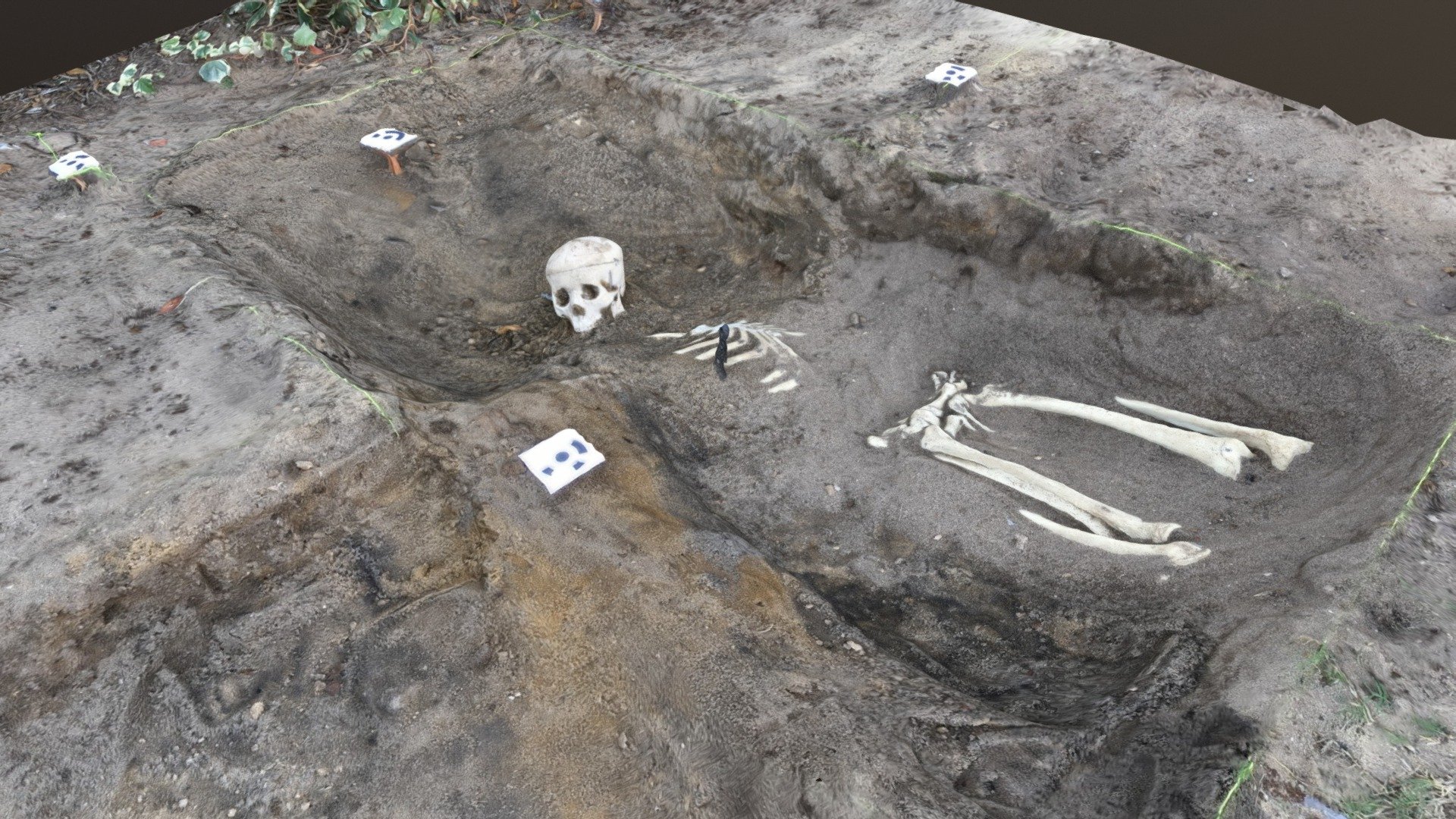Plastic Skeleton Practice Dig