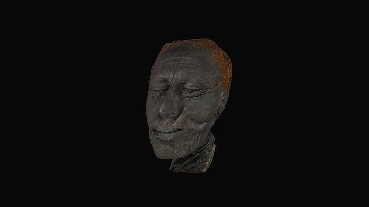 Tollund Man (without hat) 3D Model