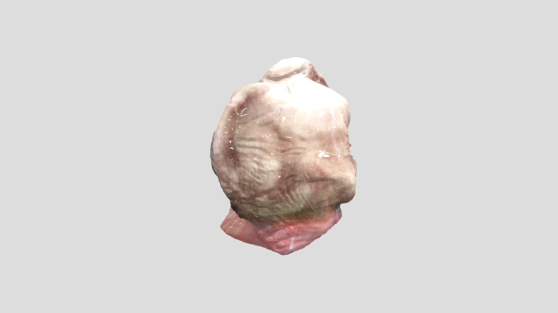2021.09.19