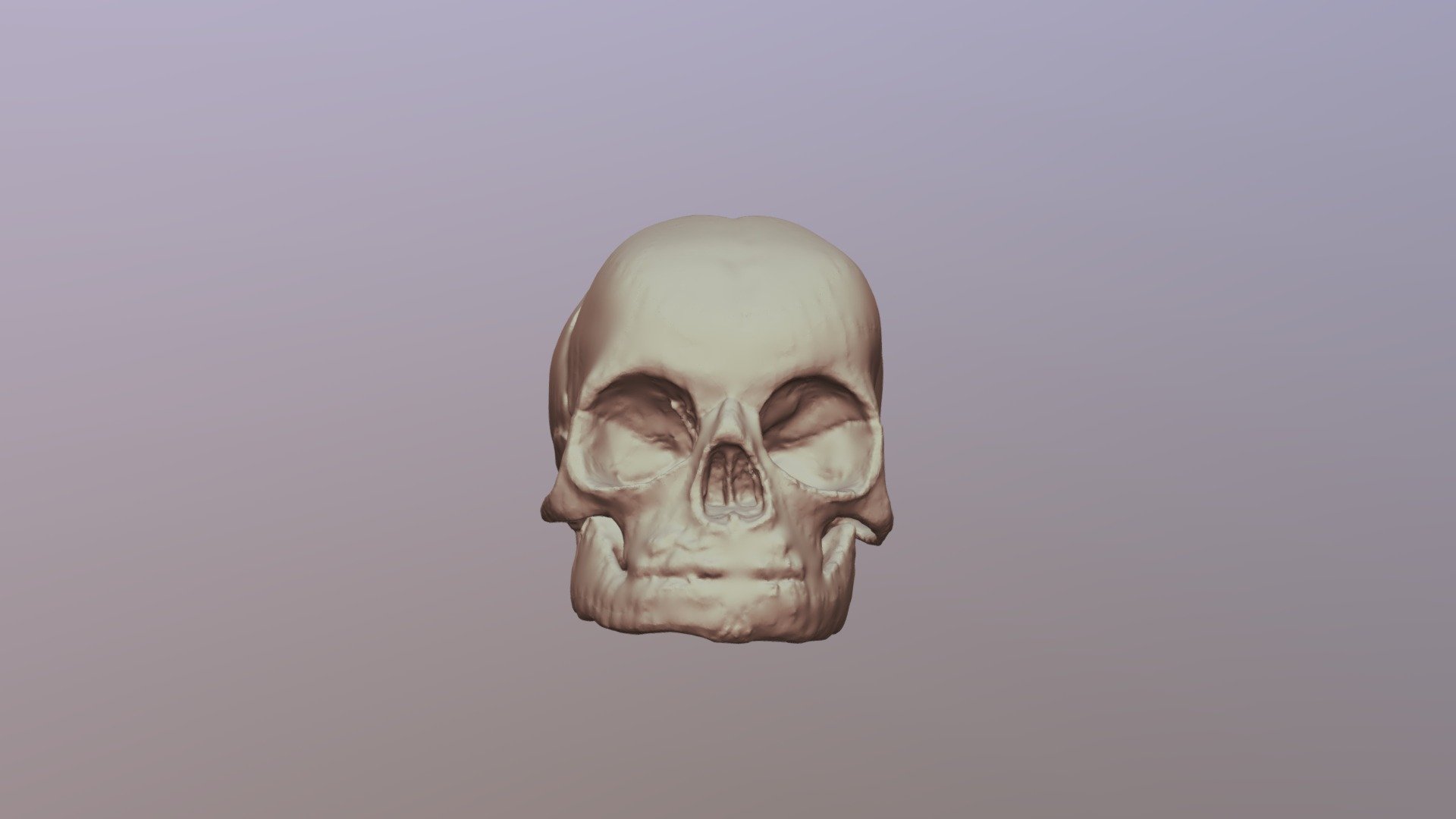 Fetal Skull - University of Oklahoma Anatomy