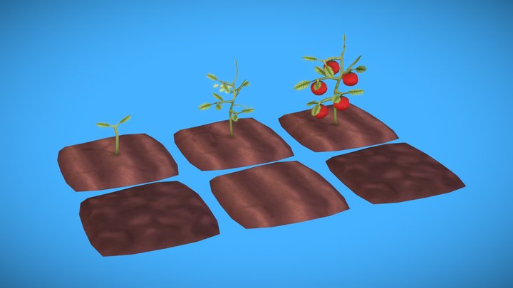 Stylized Tomato Plant (Hand Painted) 3D Model