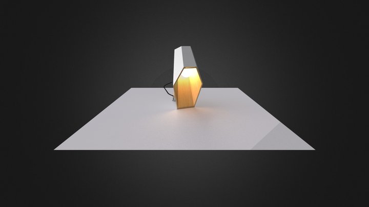 Woodspot light 3D Model