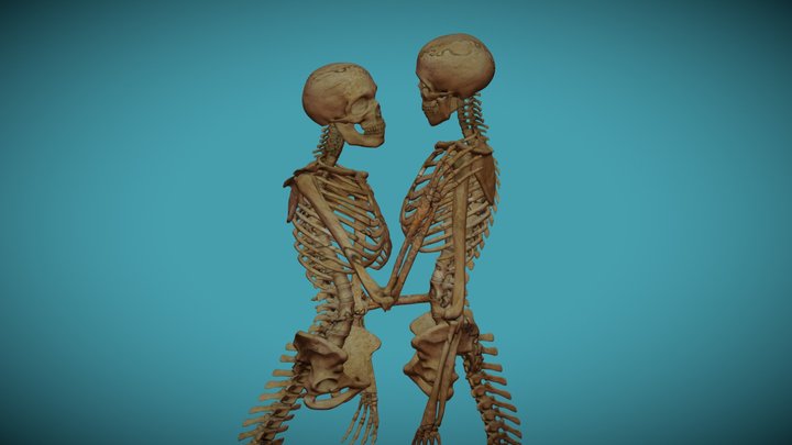 The Mortality Of Love 3D Model