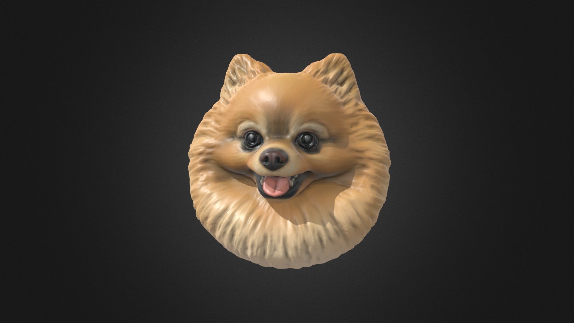 Pomeranian's named Toffee model 3D model by Seed by mi (seedbymi