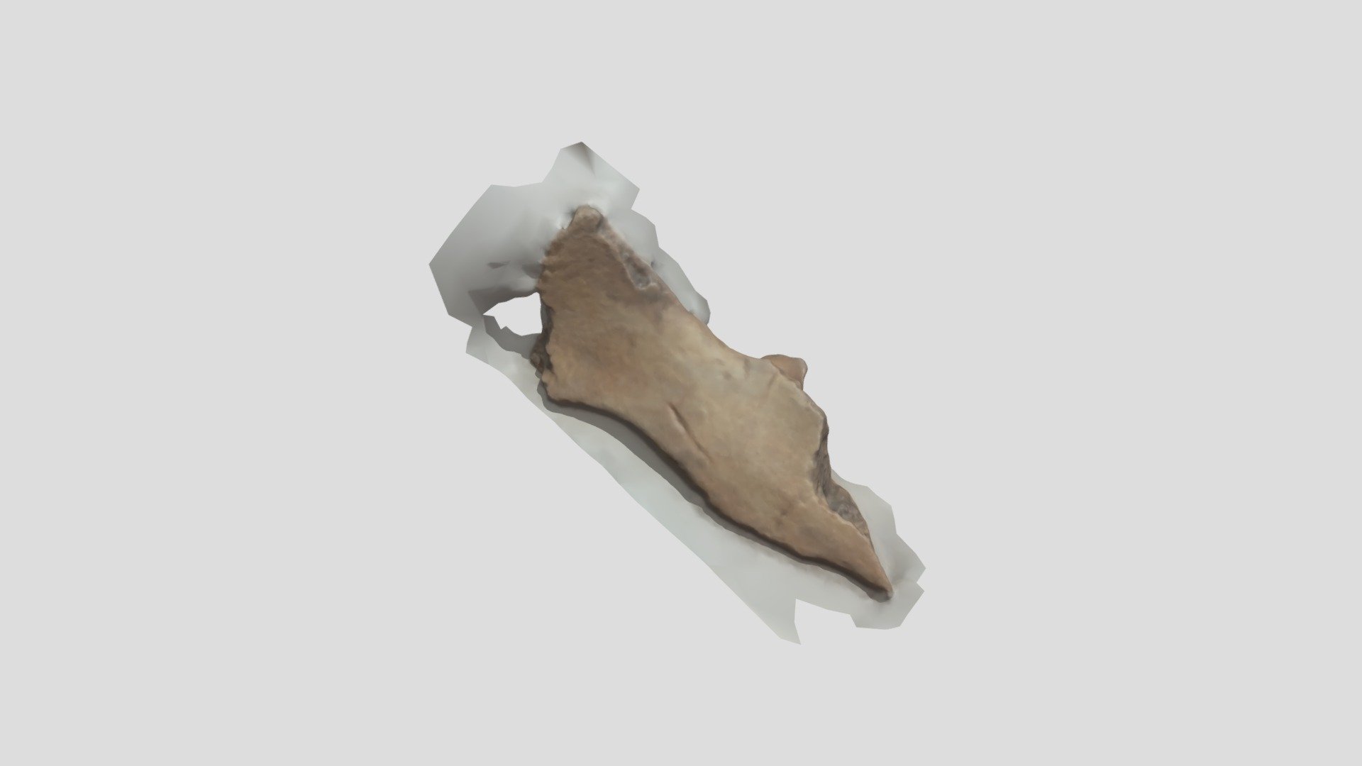 Cow pelvis with cut marks