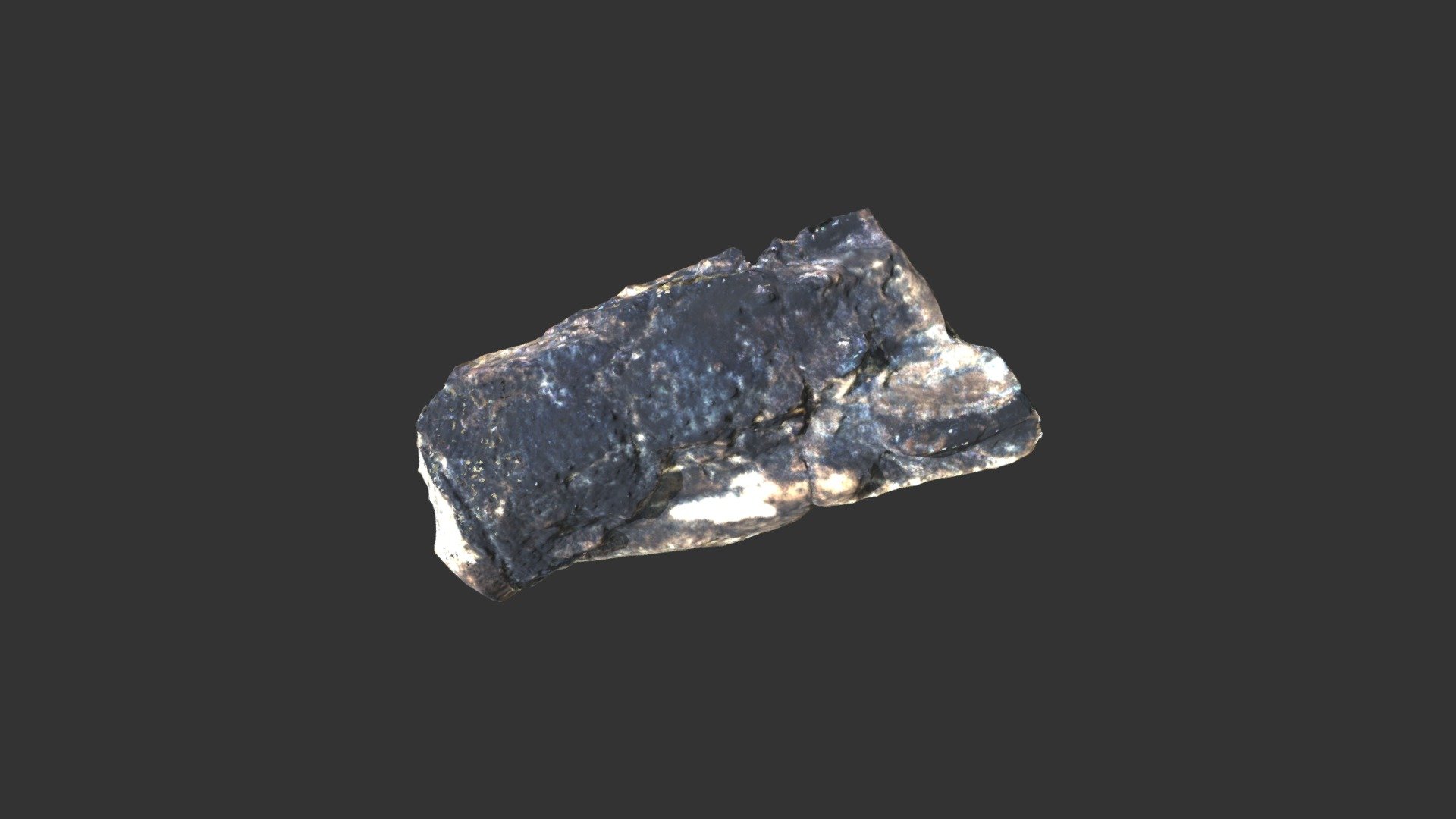 Astacodes falcifer 2