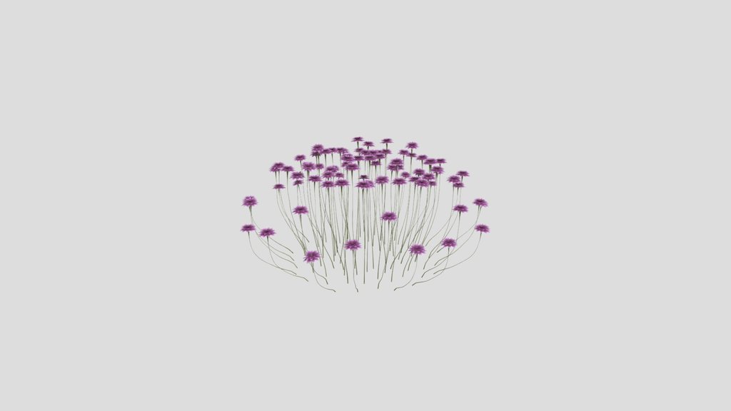 Sj Velvet Petal Bush