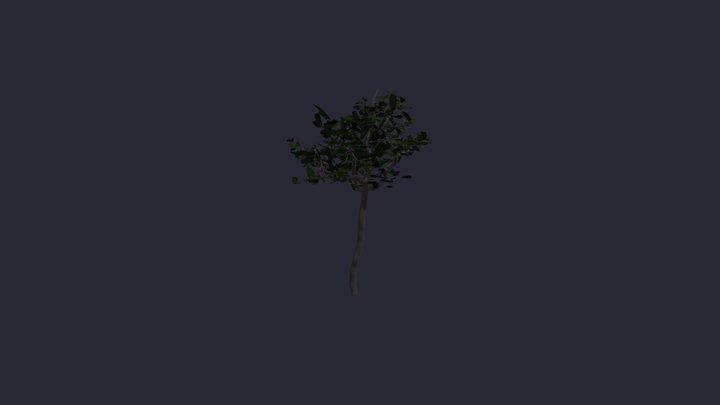 Untitled__7 3D Model