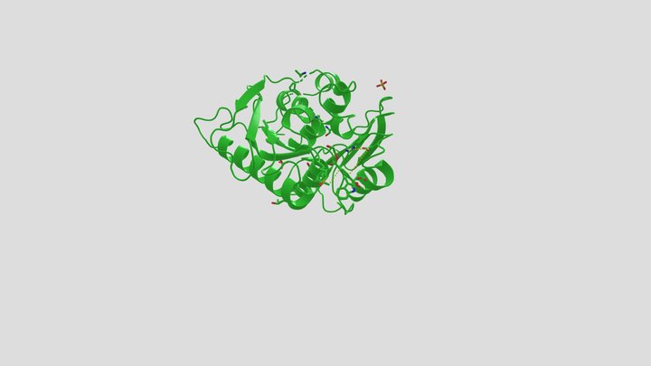 PETase enzyme 3D Model